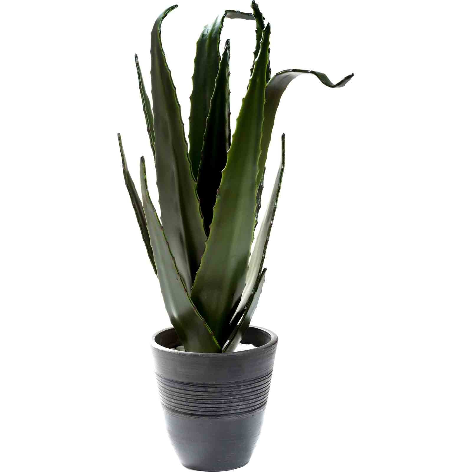 Faux Aloe Plant & Vase | Ardingley Aloe Plant